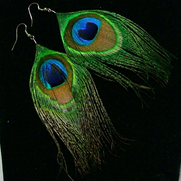 Jewelry - Peacock Feather Earrings